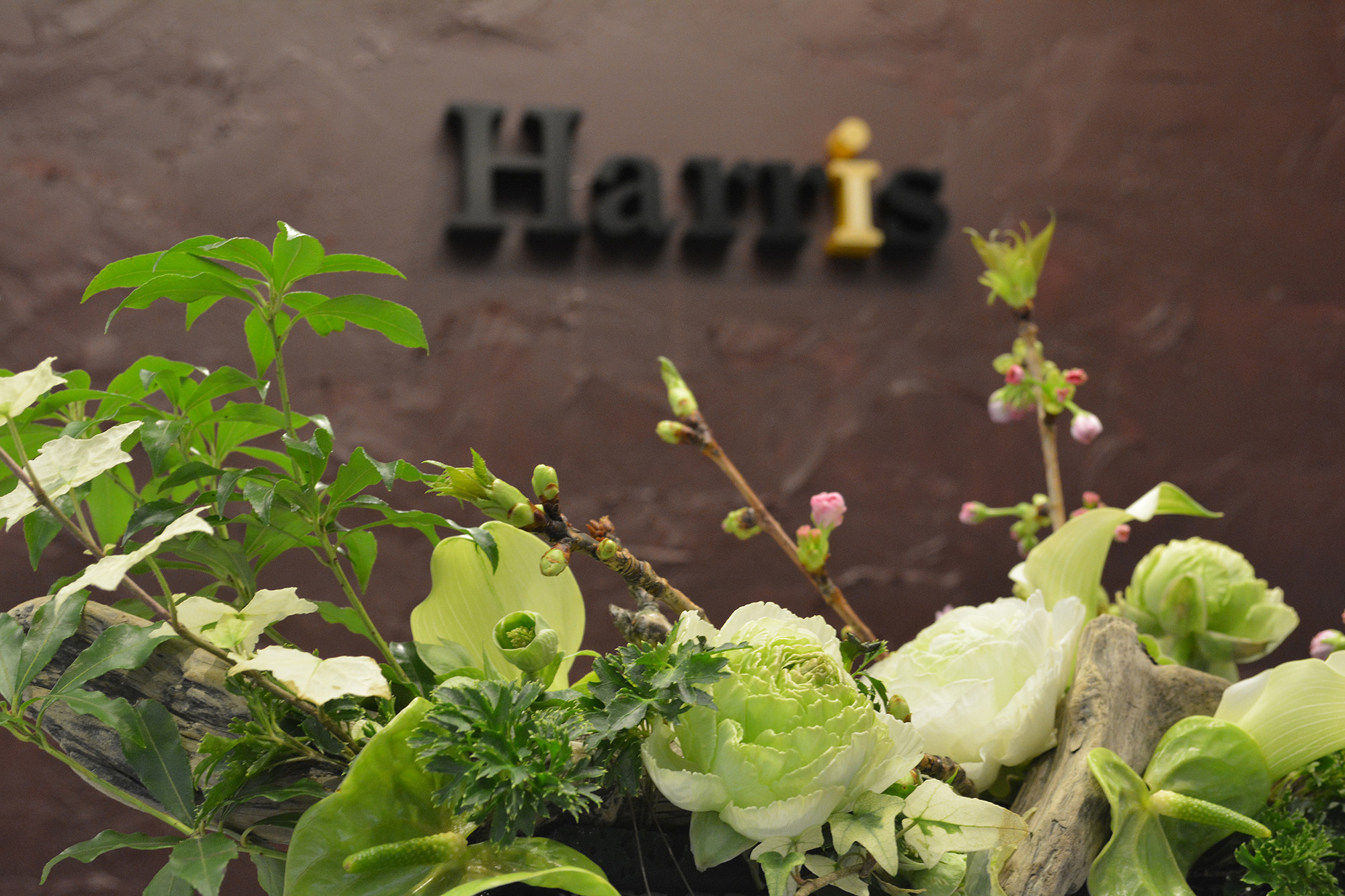 表参道・外苑前の美容院|Harris(ハリス)サロン紹介・コンセプト 表参道・外苑前の美容院|Harris(ハリス)サロン紹介・コンセプト